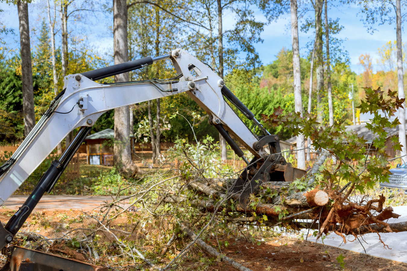 Land clearing in Laguna Niguel, CA